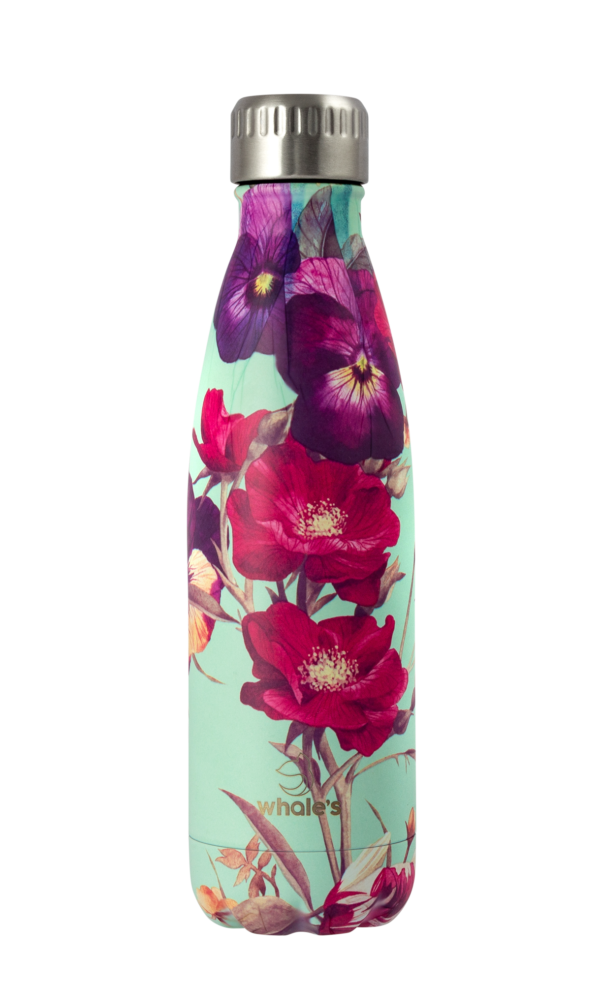 Anemone